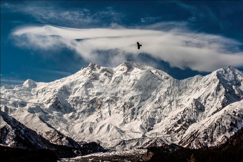 Nanga_Parbat_(7275728008)